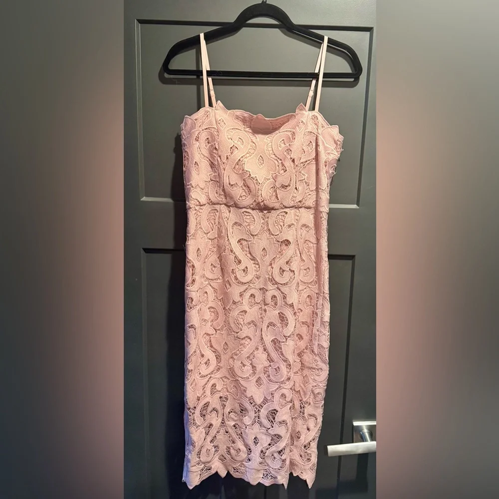 Bardot Lina Blush Lace Midi Dress - Picture 4 of 9